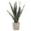 Faux Mother In Law's Tongue Plant in Cement Planter