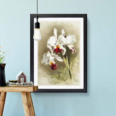 Magnolia Flowers Illustration Tab. 28 by Frederick Sander - Picture Frame Painting Print