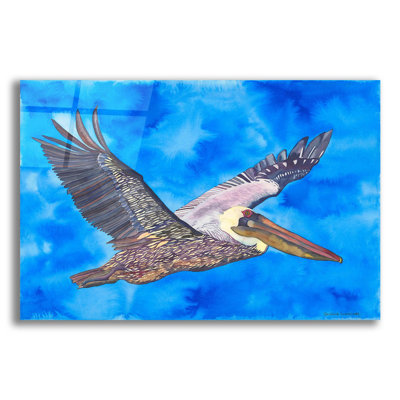 Flying Pelican