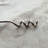 Enyeart Stainless Steel Corkscrew