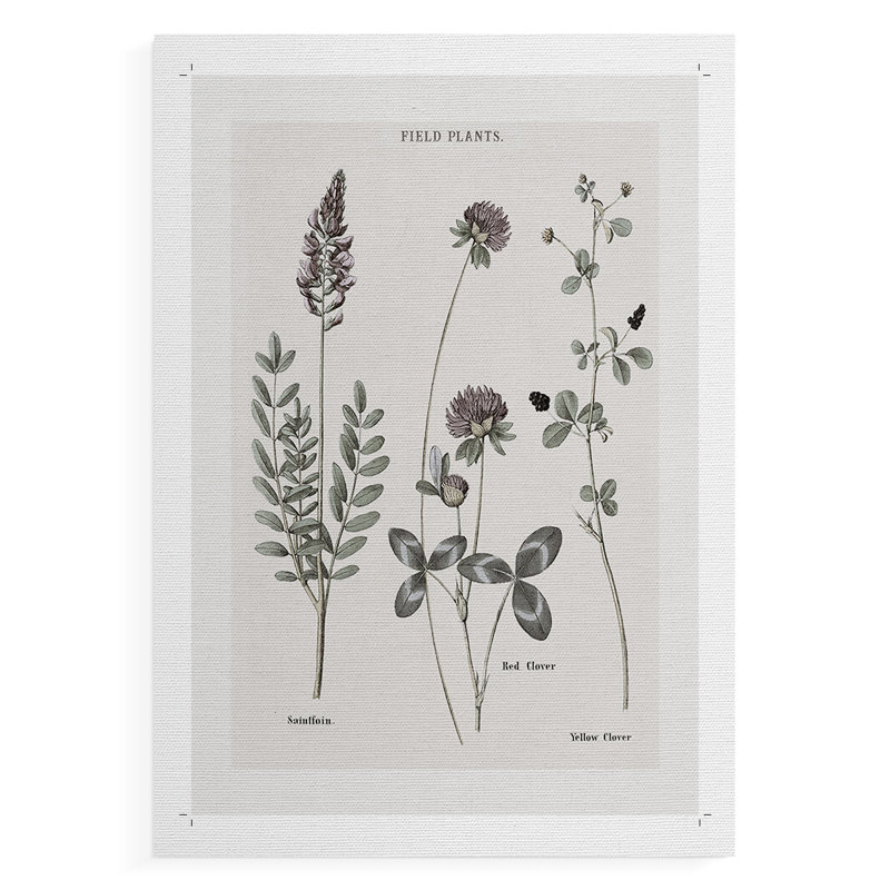 Multi Botanical II - Impression sur toile seulement - NON CADRE, H 18 po x l 12 po