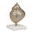 Figurine Metal and Marble Coastal Shell Design with Modern Spiraling Form on Solid Stone Base Inspired by Contemporary Nautical Trends in Mixed Materials Woods and Metals for Stylish Accent Decor-1163792284