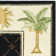 Hogle Hand Hooked Wool Pile Geometric Rug