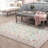 Living Room Rug 5x7 ft Pink Area Rug Machine Washable Rug, Non Slip Vintage Rug Stain Resistant Indoor Large Carpet for Bedroom, Distressed Retro Floor Rug for Classroom, Dorm, Dining Room-691651247-680413488