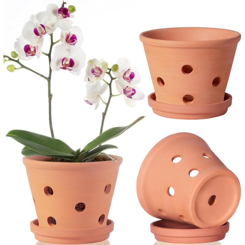 6" Terracotta Orchid Pots With Holes & Saucers 3-pack