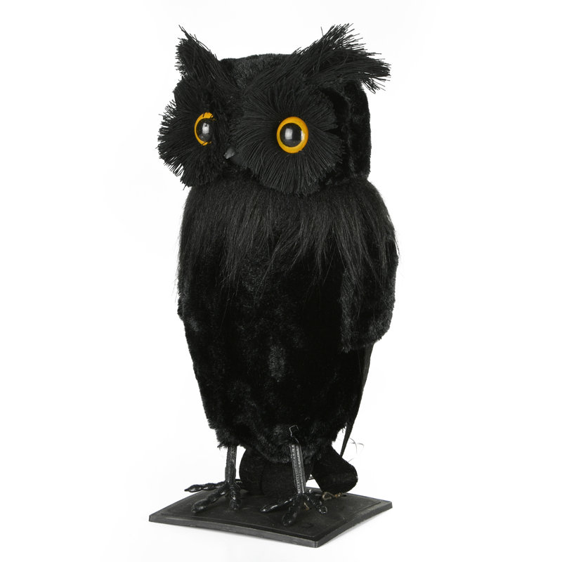The Holiday Aisle® Halloween Eerie Eyes Owl