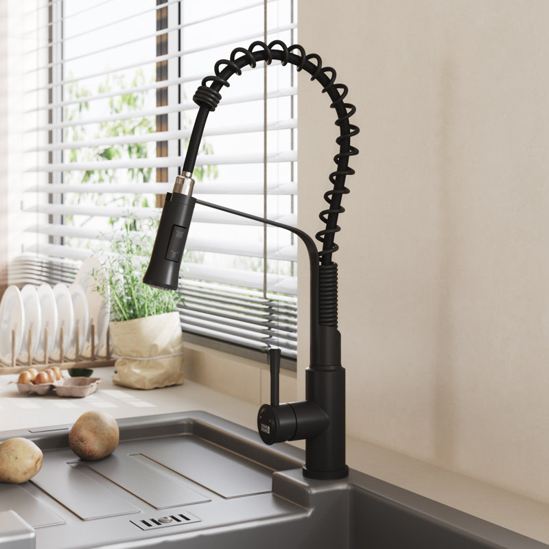 Belfry Kitchen Kitchen Faucet, Black