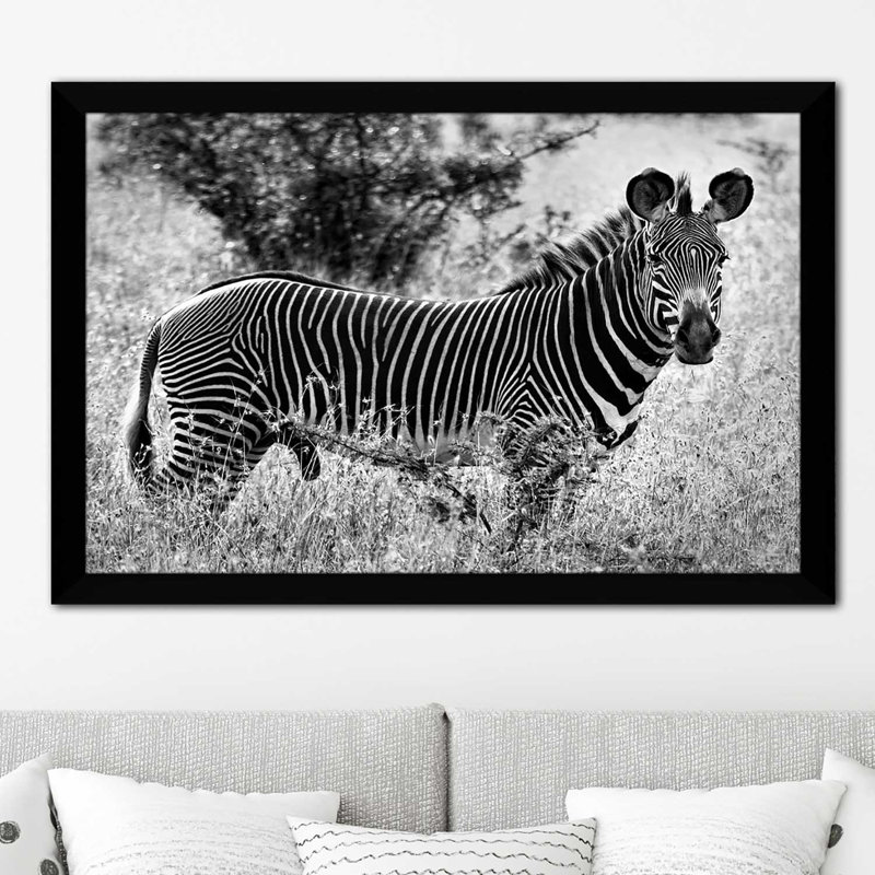 «Zebra Lookout», reproduction de photo, H 33,5 po x l 49,5 po x P 1 po, Cadre noir