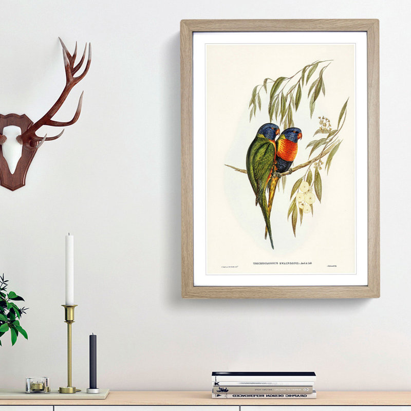 Swainson's Lorikeets by Elizabeth Gould - Picture Frame Art Prints, 65cm H x 48cm W x 2cm D, Oak Framed