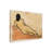" Afternoon Repose II " on Canvas-2079413612