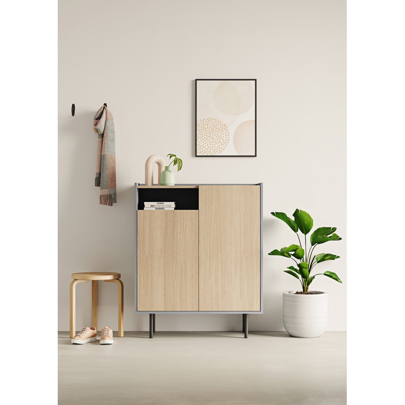 Shaneah 9 Pair Shoe Storage Cabinet