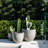 Dorlis Handmade Pot Planter-406649456-406649458