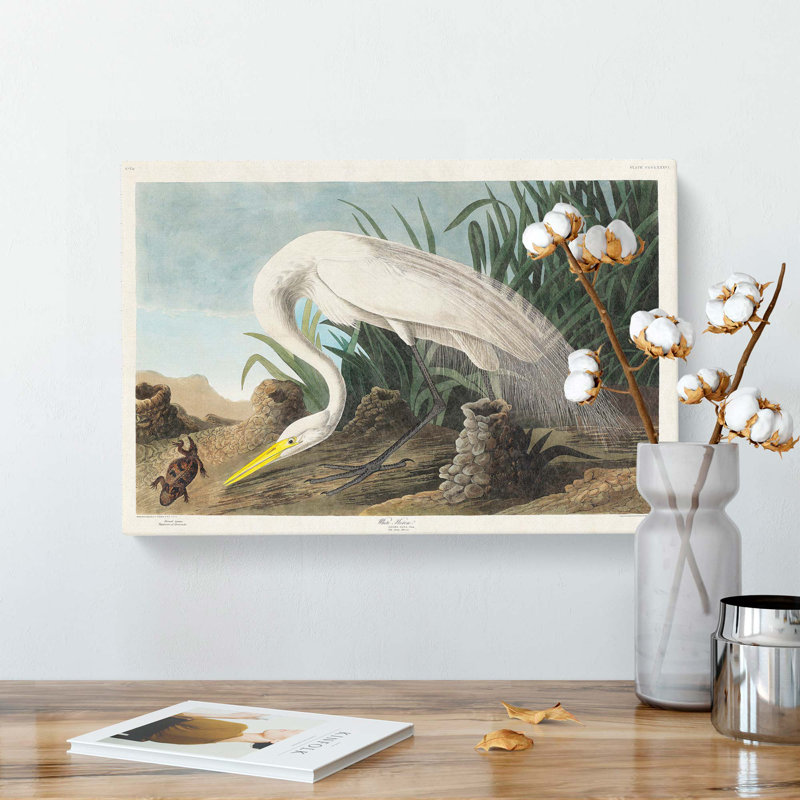 White Heron by John Audubon - Wrapped Canvas Painting, 35cm H x 50cm W x 3cm D