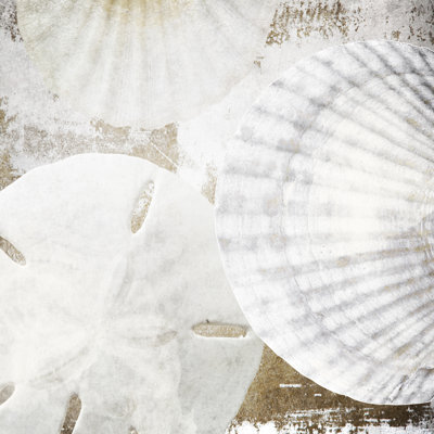" White Shells II " by Irena Orlov