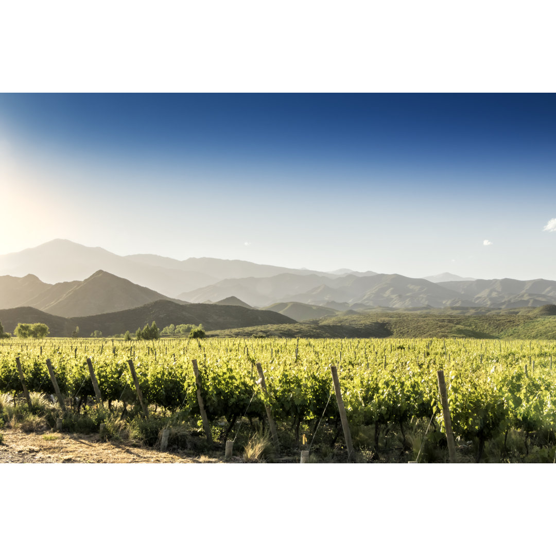 Die wunderschönen TunuyÃ¡n-Weinberge in der Weinregion Mendoza, Argentinien. by Edsel Querini - Print