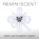 4 Watt LED - Reminiscent - Flex Grey Coil Filament - B11 - Candelabra Base - 2700K CCT - Clear - 120 Volt