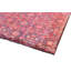 Oriental Area Rug in Red