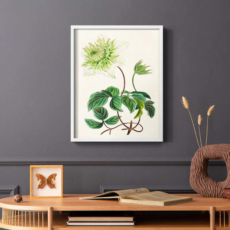 Reproduction d'art antique encadrée avec feuillets floraux - Bois massif, Blanc, H 20 po x l 16 po