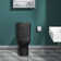 Carre One-Piece Square Toilet Dual-Flush 1.1/1.6 gpf with 10" Rough-In
