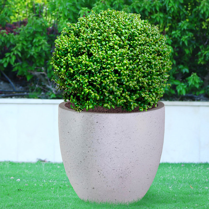 Fibreglass Plant Pot, 32cm H x 35cm W x 35cm D, Marble Grey