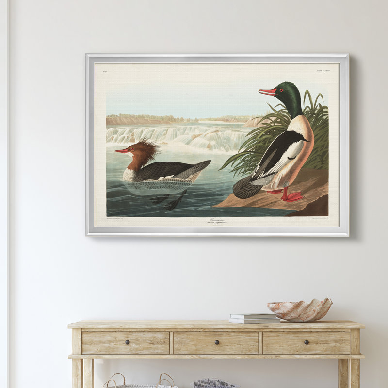 Goosander Duck - reproduction d'art sur toile, Argent, H 22,5 po x l 30,5 po x P 1,5 po