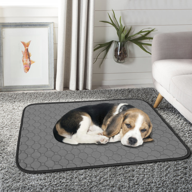 Multifonction lavable pour chiot Pee Pads à absorption rapide réutilisable pour chien, gris