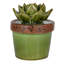 Figurine en céramique Echeveria-1695784437