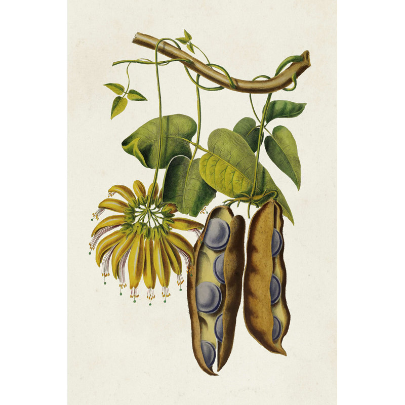 Fruit des tropiques III, H 18 po x l 12 po x P 1,25 po