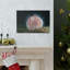 Art mural majestueux oursin-475288960
