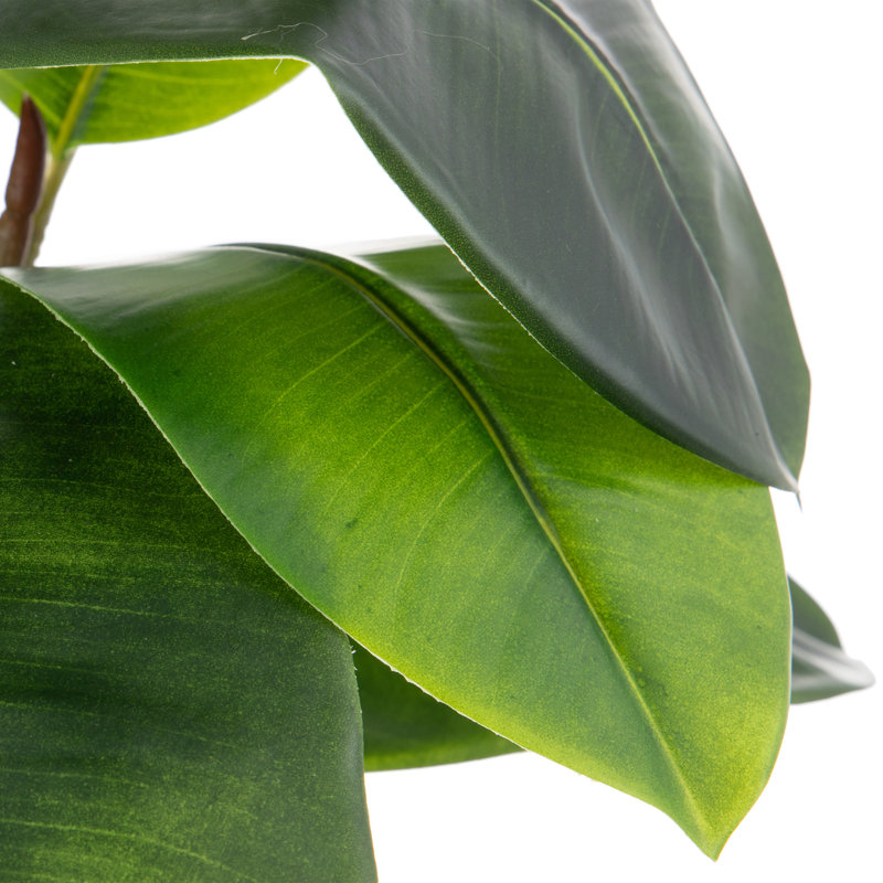 Polyethylene (PE) Magnolia Arrangement