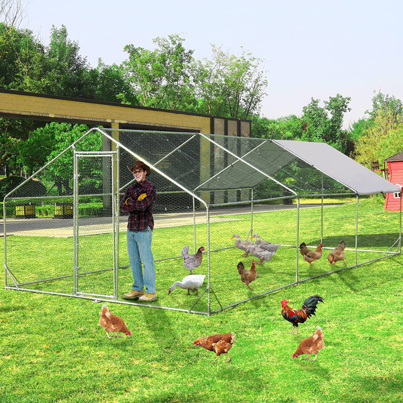 Poule à ranger Dahan de 193,65 pi²
