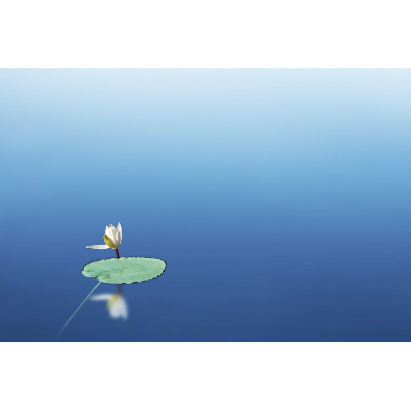 Lilypad I, H 8 po x l 12 po