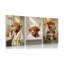 3 Piece Wrapped Canvas Print-1008803246
