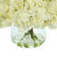 Hydrangeas in Glass Vase-1221587992