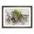 Walnut Framed