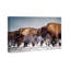 Buffalo Herd In A Snow Landscape Print-69850885-69850886