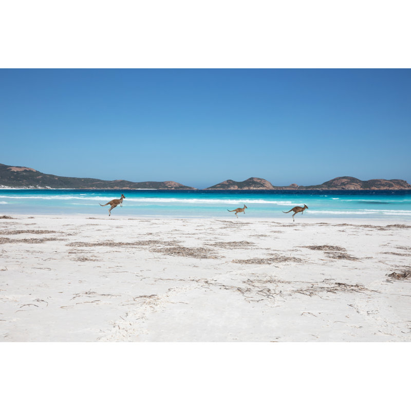 Lucky Bay - Wrapped Canvas Print, 30cm H x 46cm W x 3.8cm D