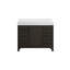 Meuble-lavabo simple 42 po_Traditional_VF60642-BS-20934088