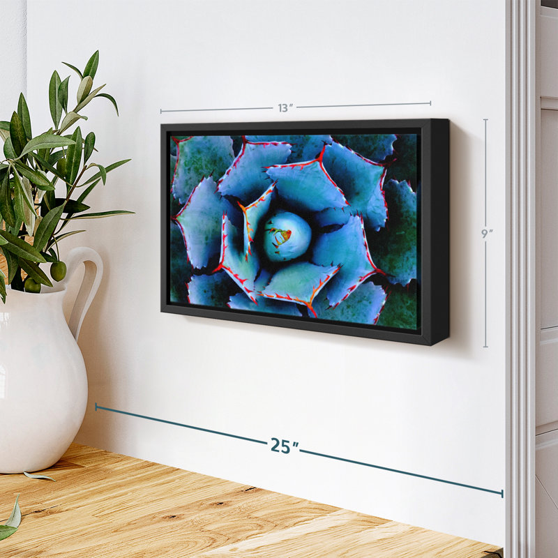 Floral et botanique «Red Lined Succulent Wall Art», H 9 po x l 13 po
