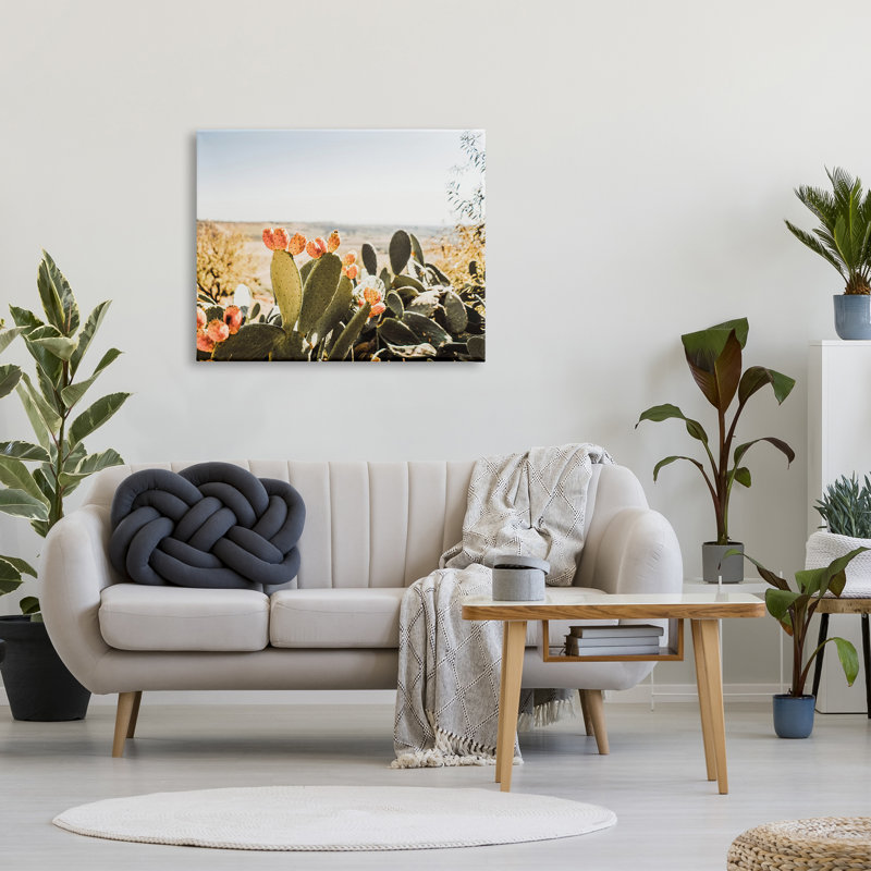 Cactus ensoleillé par Krista Broadway - photographie, H 30 po x l 40 po x P 1,5 po, Toile tendue
