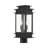 Anaejah Black 2 -Light 16.75" H Hardwired Lantern Head
