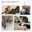 70cm H Cat Tree-144780330