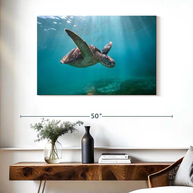 Tortue de mer Brampt Martinique, H 26 po x l 39 po