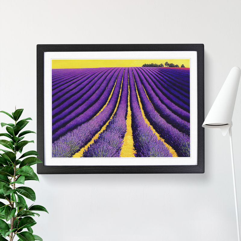 Flawless Lavender Flower Field - Single Picture Frame Print, Black, 46cm H x 64cm W x 2cm D