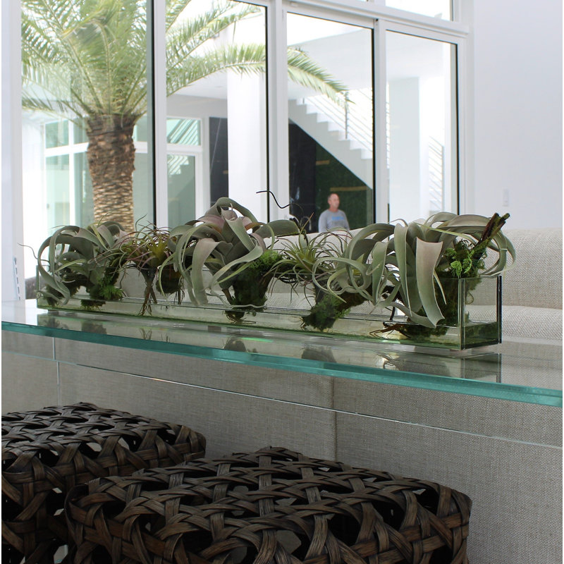 Casa Moderna Faux Succulent in Glass Planter