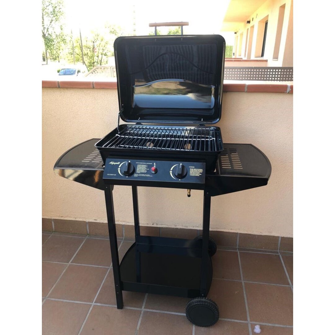 Beweglicher Erdgas-Grill Bole mit 2 Brennern