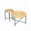 Ensemble 2 pièces tables basses et tables de bout-111461647-111782293