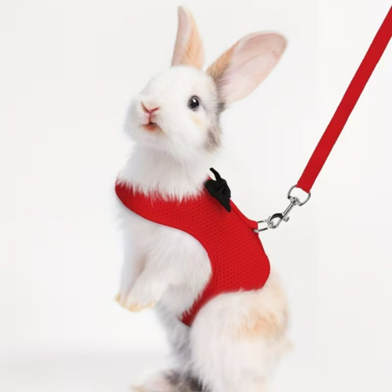 Ensemble de harnais et de lapin Rabbit, Rouge