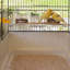 60.5cm Table Top Bird Cage with Perch