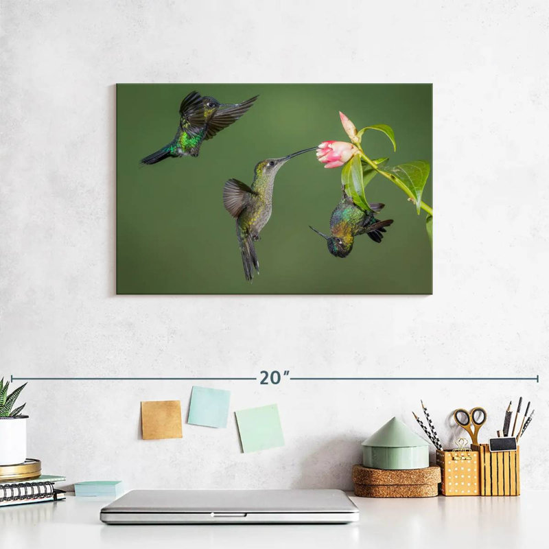Brampt Three Hummingbirds, 8" H x 12" W
